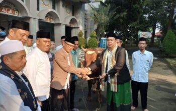 Pj Wali Kota Bogor Hery Antasari menyerahkan hewan kurban kepada Ketua DKM Masjid Raya Al-Mi'raj Ahmad Fathoni pada Senin 17 Juni 2024.