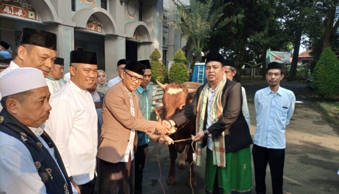 Usai Shalat Idul Adha di Masjid Raya, Pj Wali Kota Serahkan Hewan Kurban