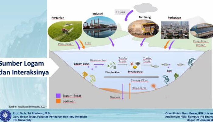 Guru Besar IPB University Sebut Pencemaran Laut Sebagai Ancaman Global bagi Sumber Daya Kelautan