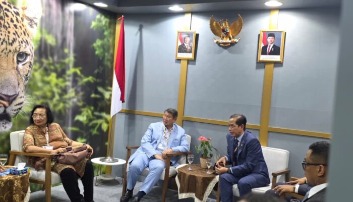 Indonesia Usung Dua Strategi Utama dalam COP30