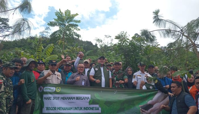 Kolaborasi KLH, Pemkab dan Masyarakat Tanam Ratusan Pohon di daerah Hulu Ciliwung